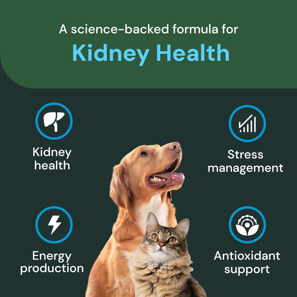 Hand holding VetriScience chews for easy dosing