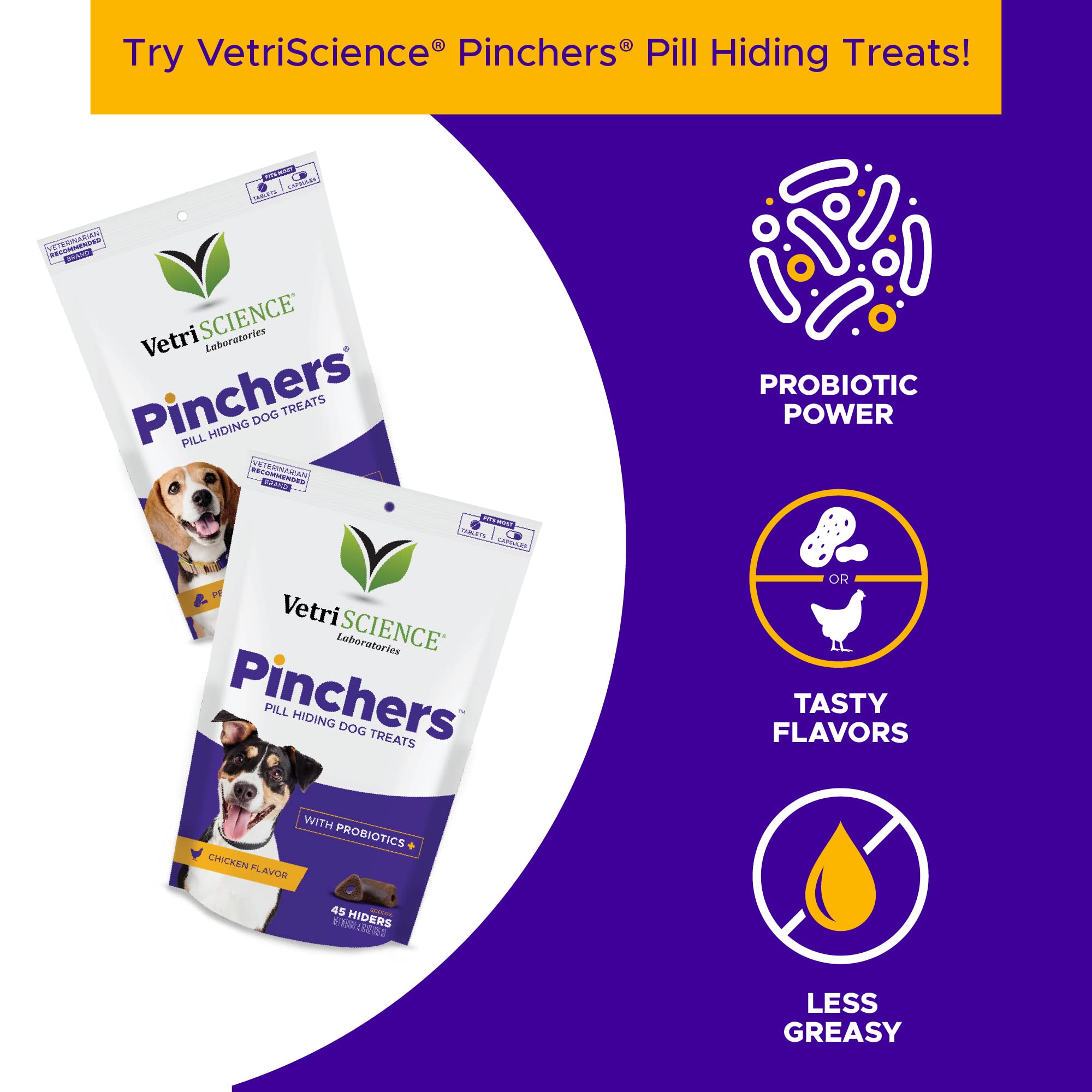VetriScience Kidney Health packaging suited for senior dogs needing renal care.