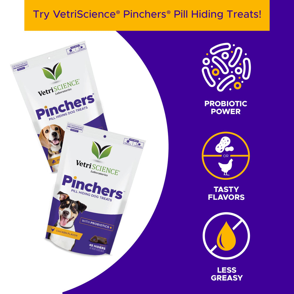 VetriScience Kidney Health packaging suited for senior dogs needing renal care.
