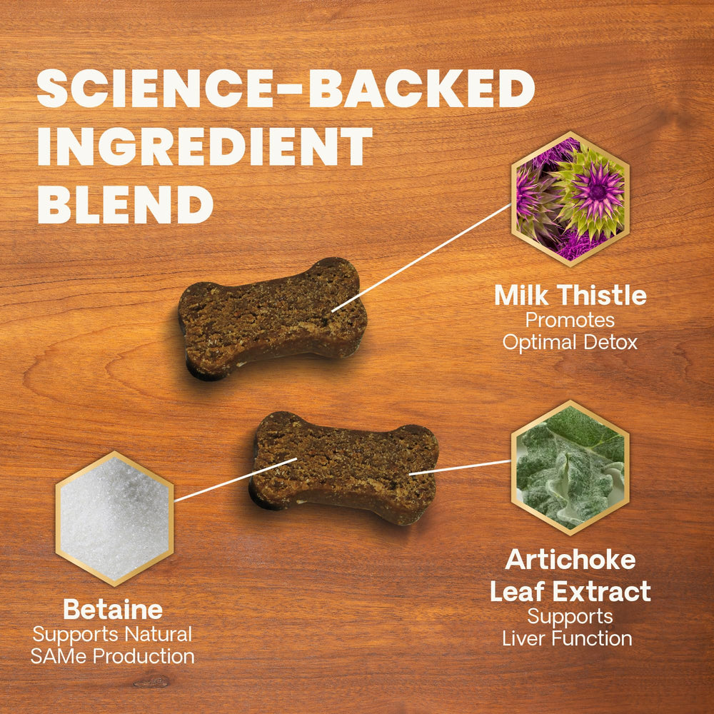VetriScience Liver Health Chews bottle and label highlighting vet-formulated liver support