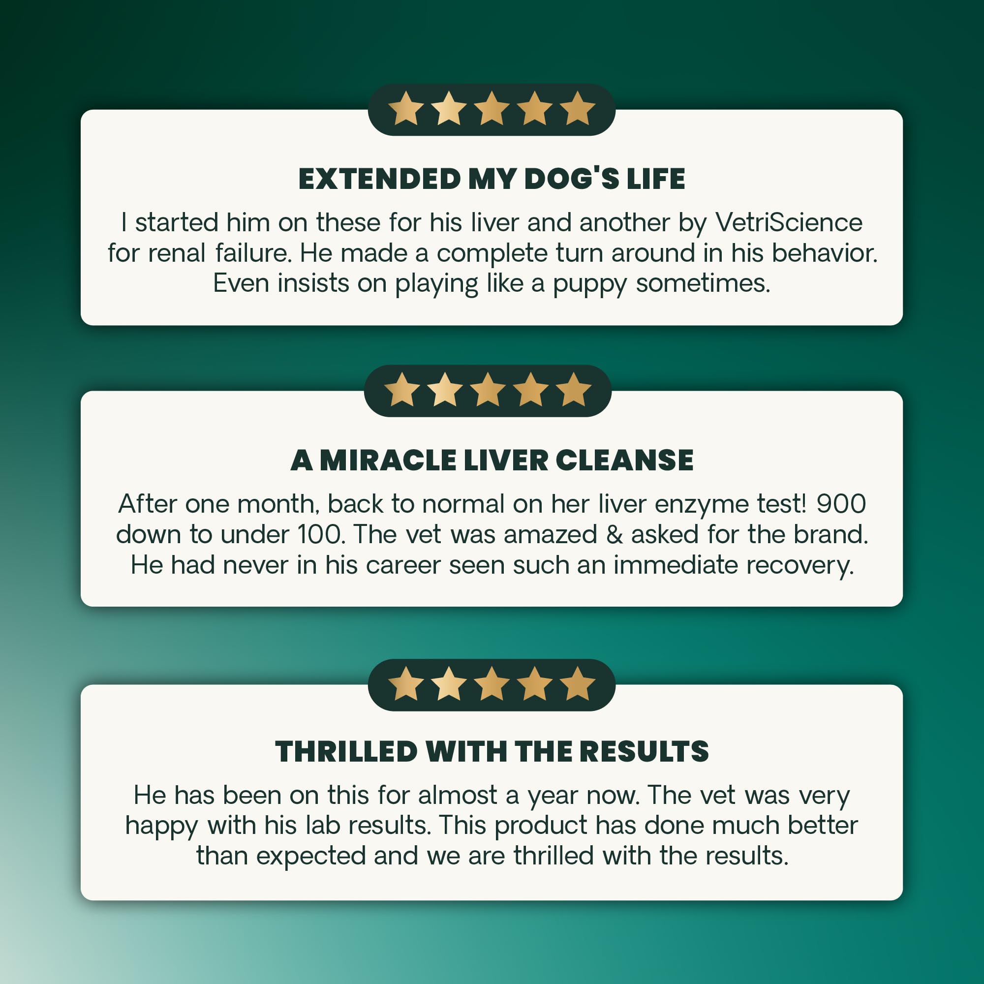 VetriScience Liver Health Chews closeup featuring turmeric and NAC ingredients
