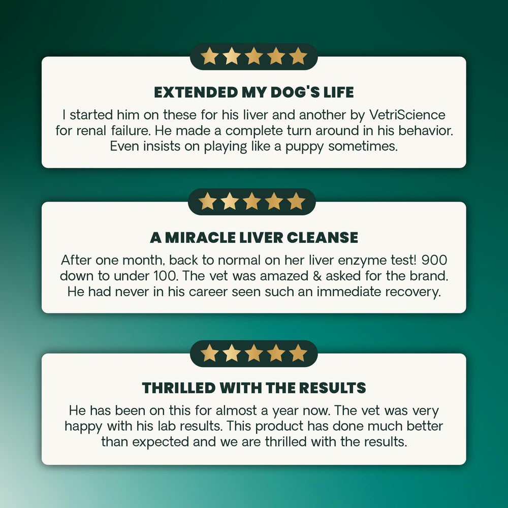 VetriScience Liver Health Chews closeup featuring turmeric and NAC ingredients