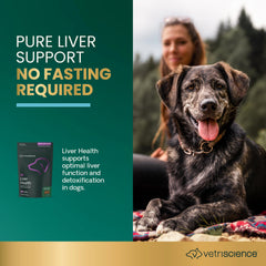 VetriScience Liver Health Chews hydrolyzed chicken flavor closeup for sensitive dogs