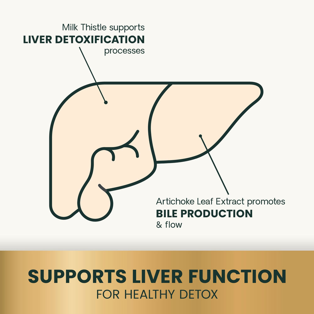 VetriScience Liver Health Chews ingredients chart highlighting milk thistle and artichoke