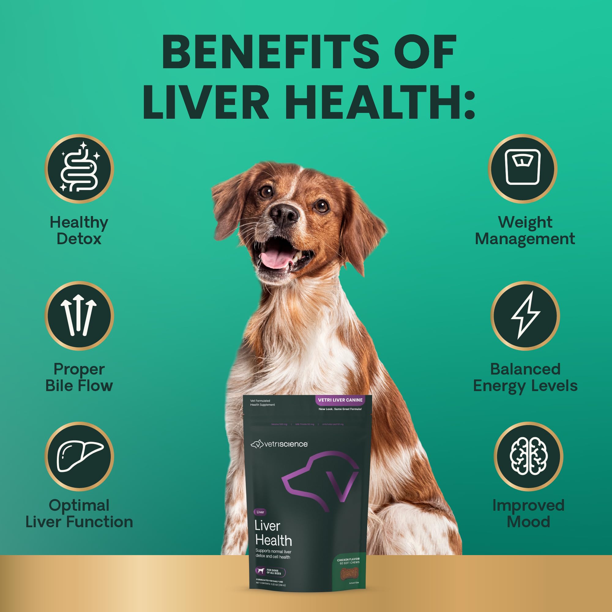 VetriScience Liver Health Chews on counter with chews ready for daily dosing
