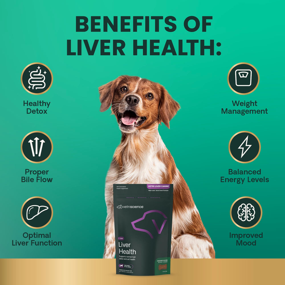VetriScience Liver Health Chews on counter with chews ready for daily dosing