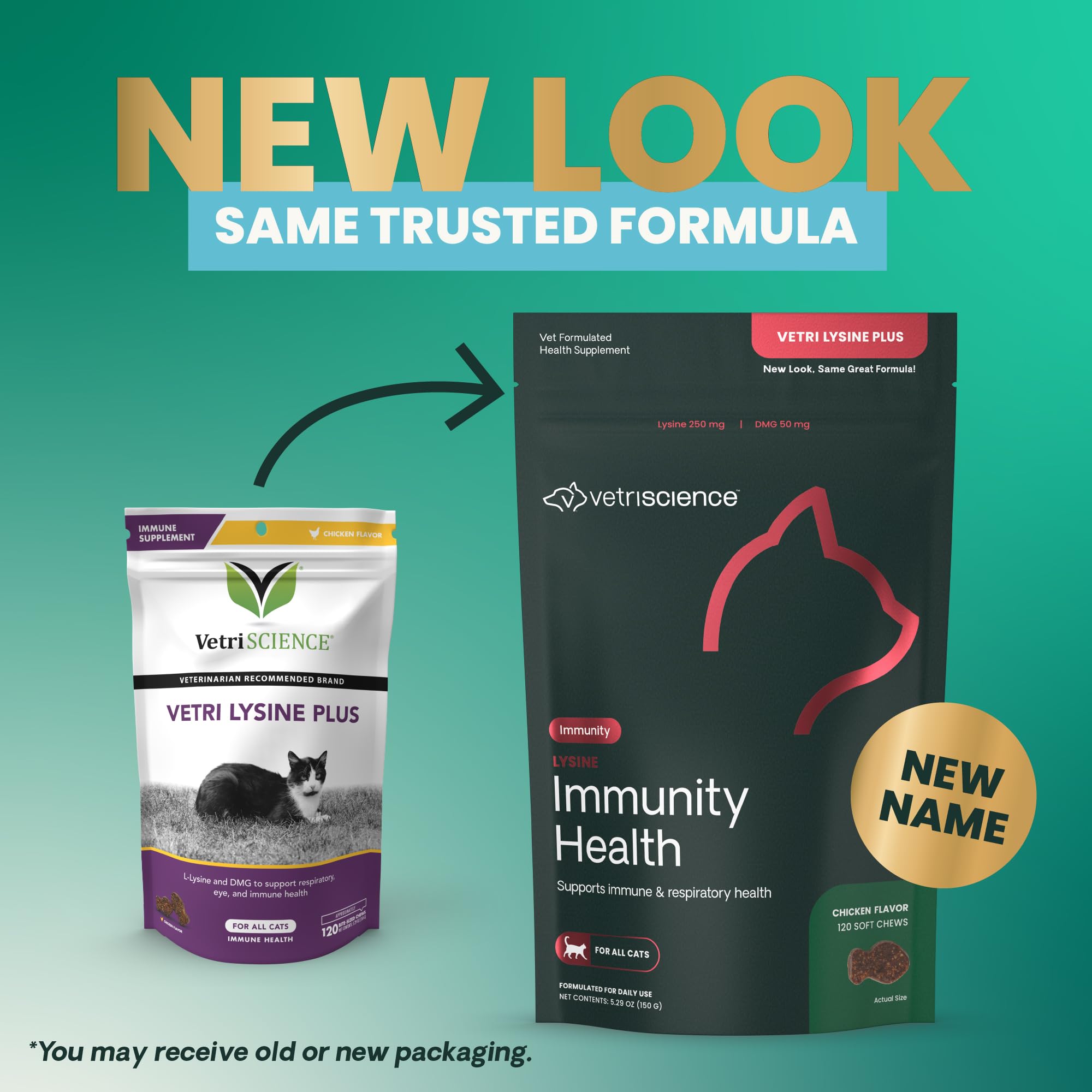 Close-up of Lysine Immunity Health chews highlighting palatable flavor for daily use.