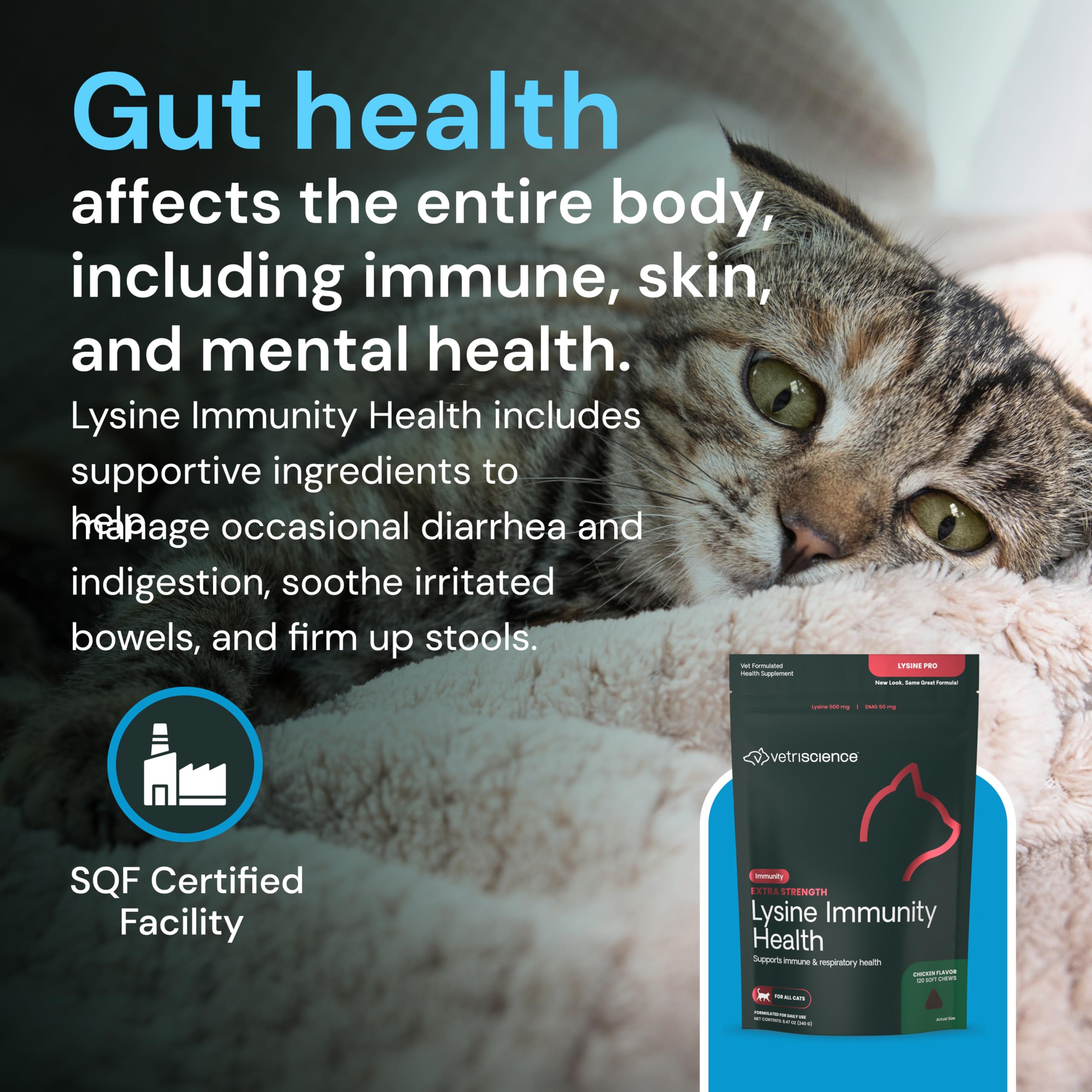 VetriScience Lysine Immunity Chews product image scene emphasizing daily pet wellness.