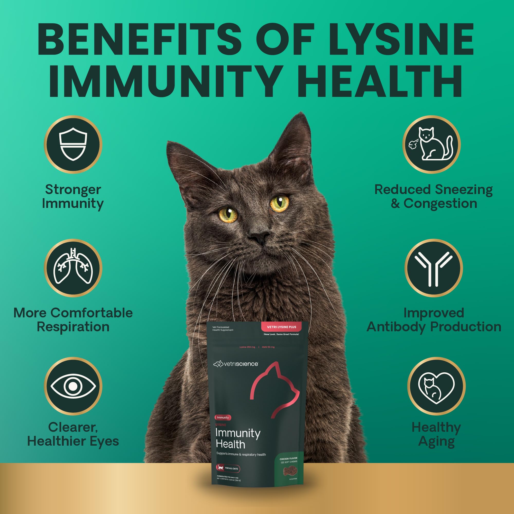 VetriScience Lysine Immunity Health chews cat nose close-up and use.
