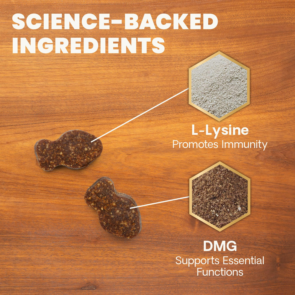 VetriScience Lysine Immunity Health chews label close-up shows ingredients.