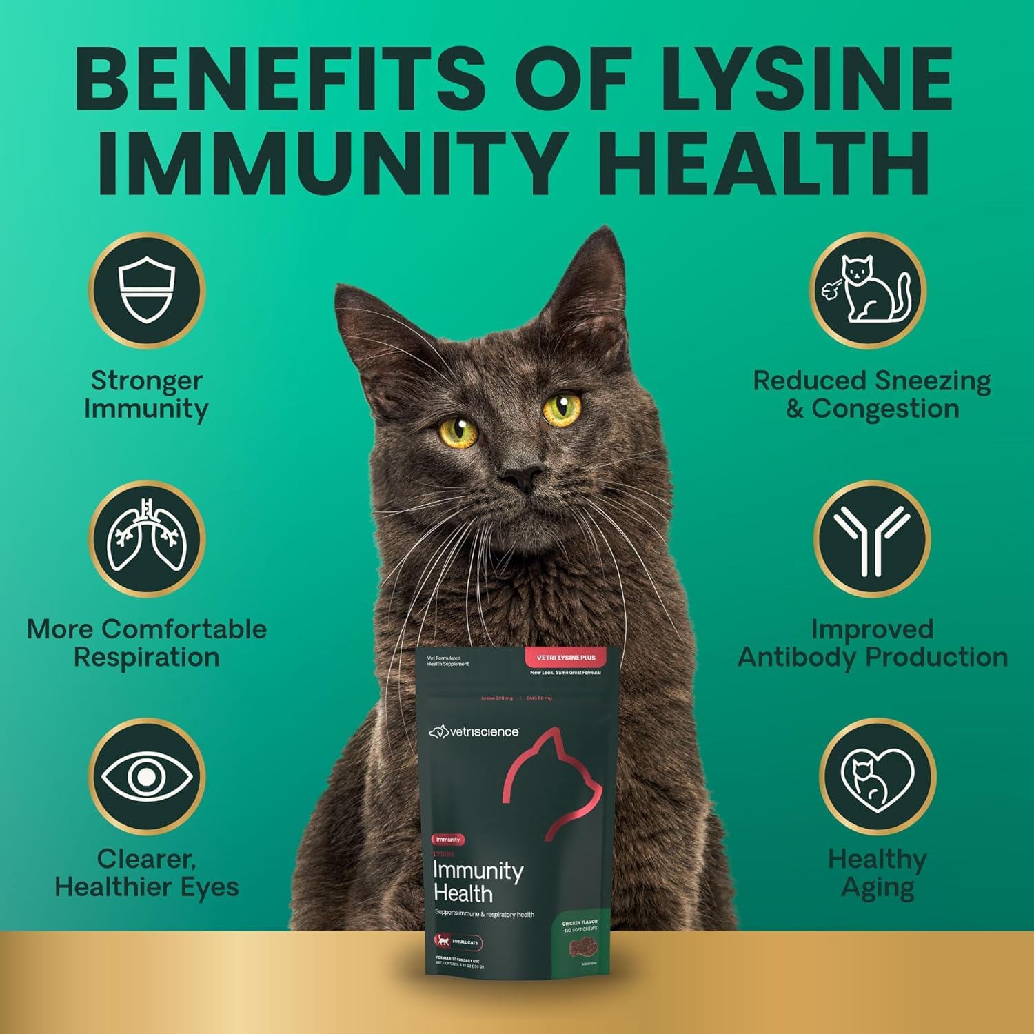 Label close-up highlighting lysine and DMG ingredients