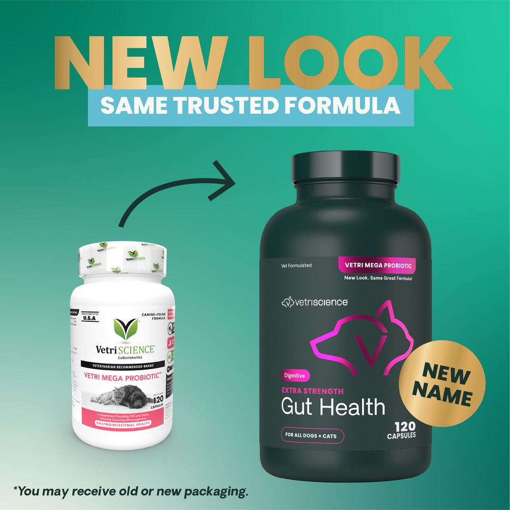 VetriScience Mega Probiotic bottle on shelf highlighting pet immune support
