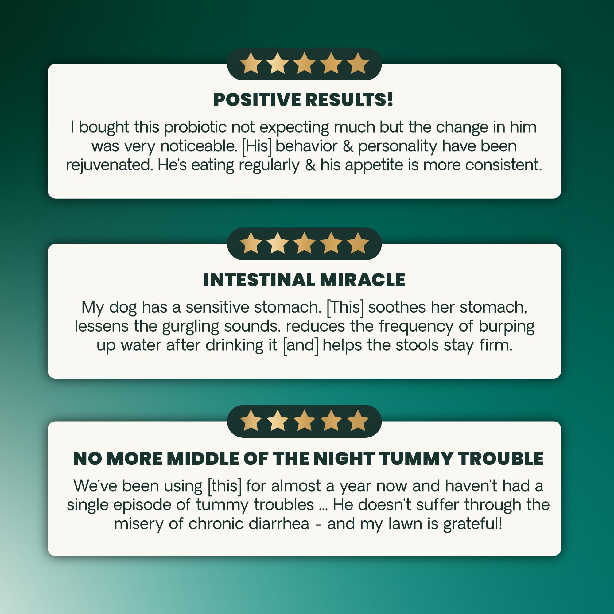 VetriScience NASC-certified dog supplement with enzymes, probiotics, and prebiotics