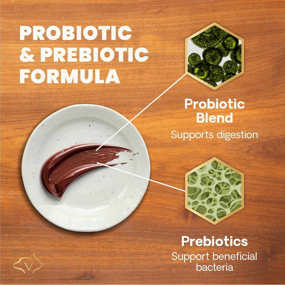 VetriScience Quick Action paste with dog and cat suggests versatile use with meals.