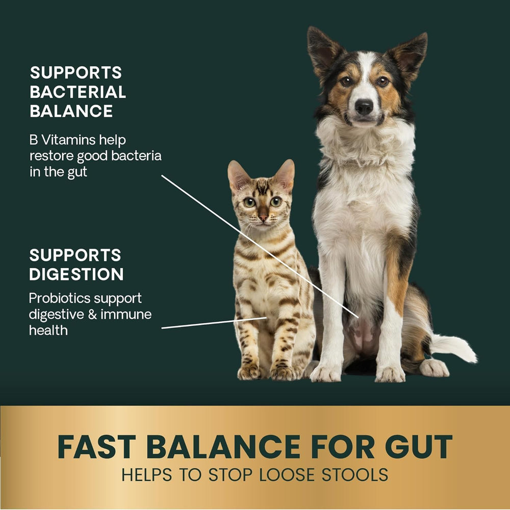 VetriScience Quick Action Diarrhea Aid label shows NASC certification and no artificial dyes.