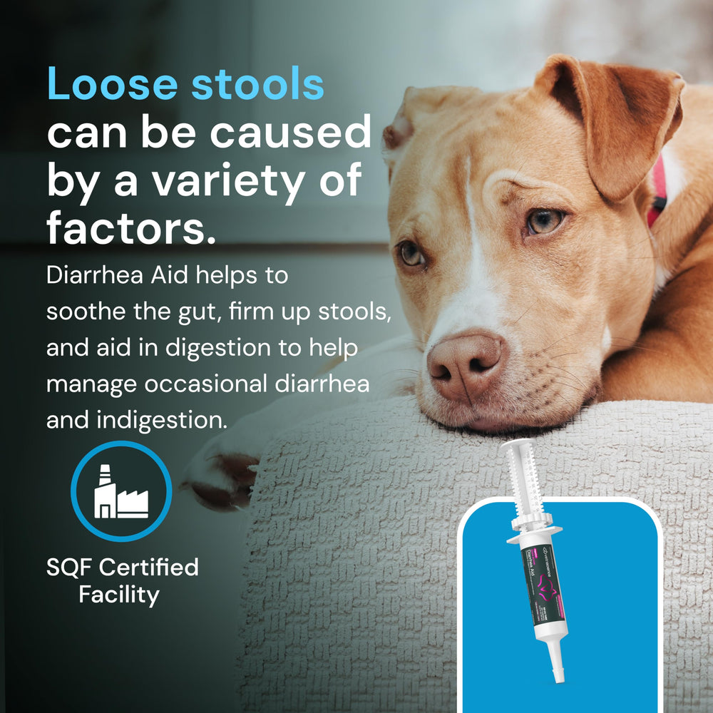 Owner administers VetriScience paste to improve gut balance before meals.