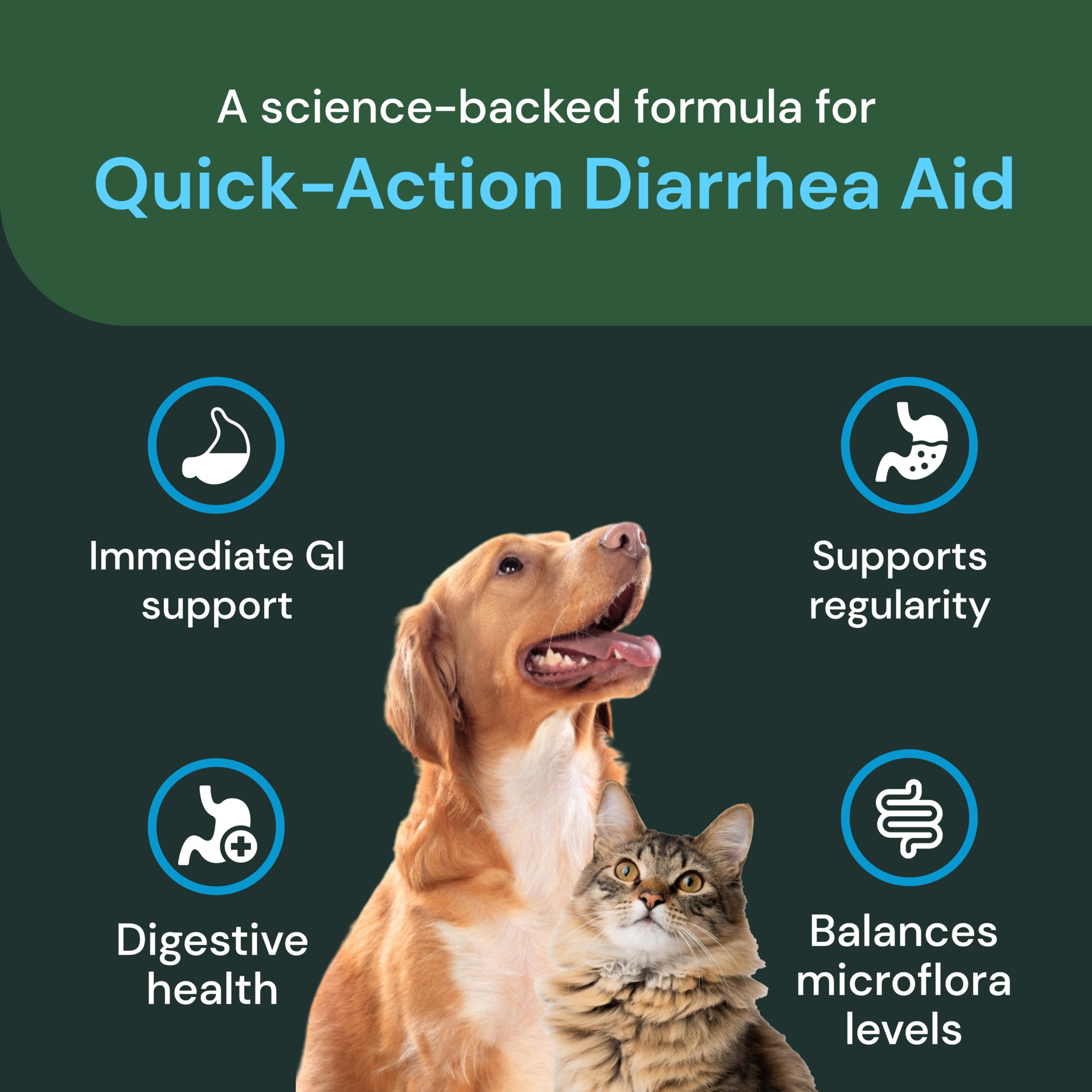 Cat shown with VetriScience paste for occasional diarrhea support in daily routine.