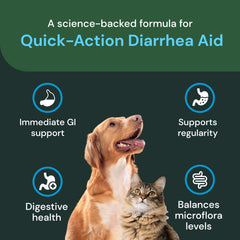 Cat shown with VetriScience paste for occasional diarrhea support in daily routine.