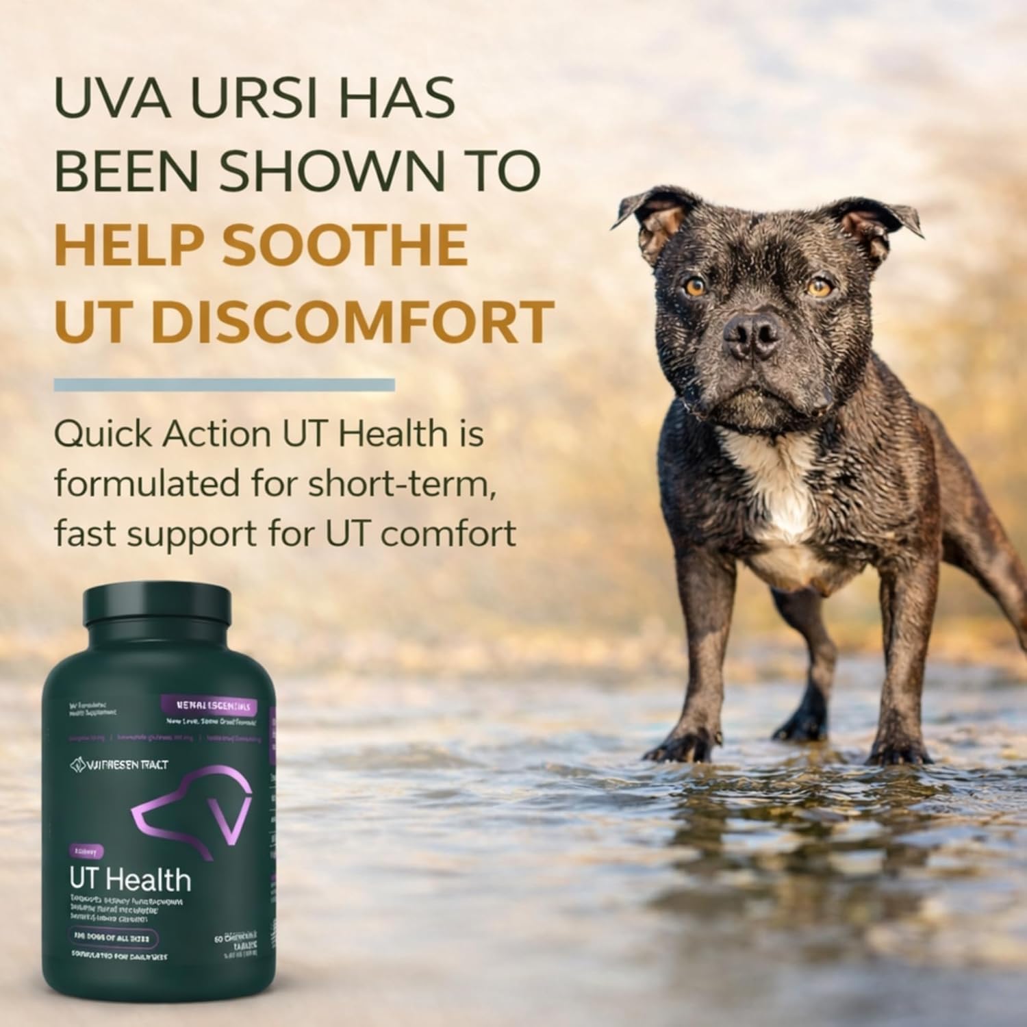 Close-up of smoke-flavored UT Health chew tablet appealing to picky dogs.