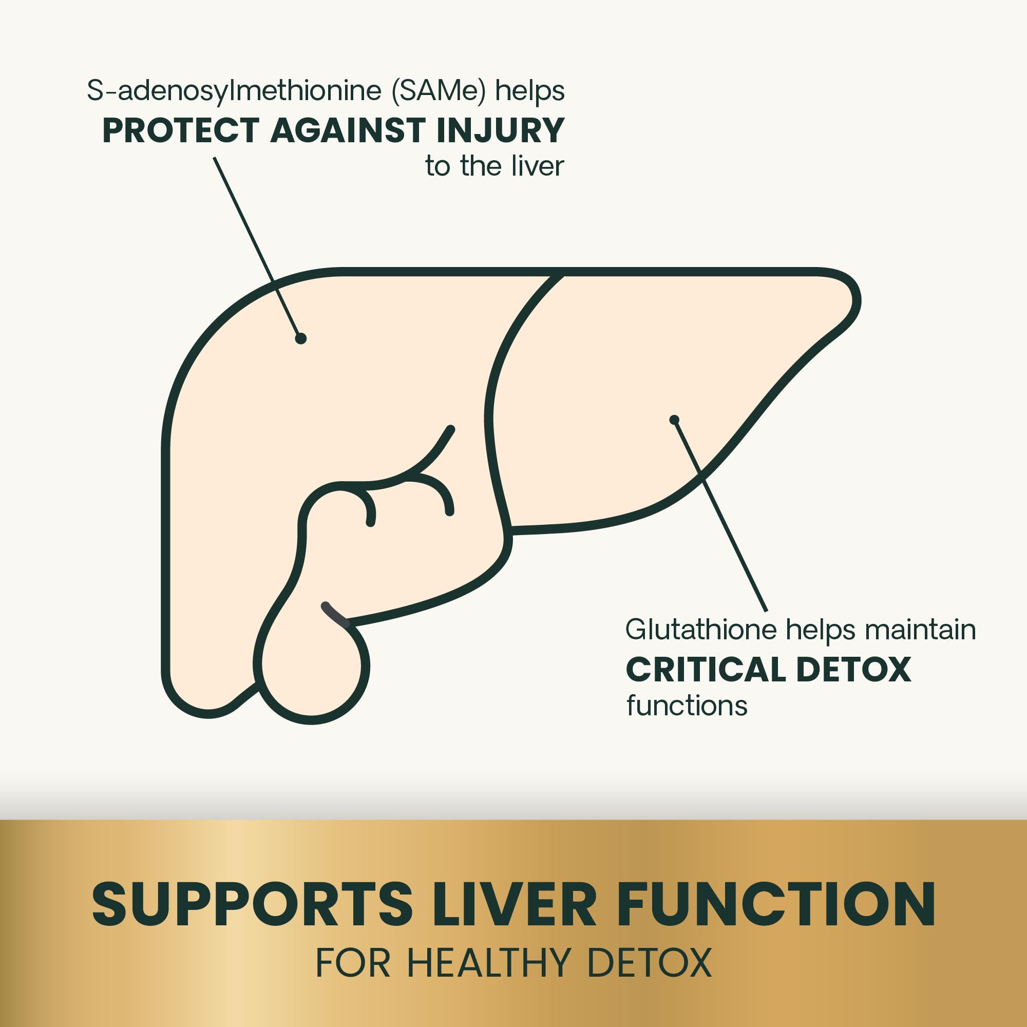 VetriScience SAMe Liver Health tablets dog-take view showcases convenience.