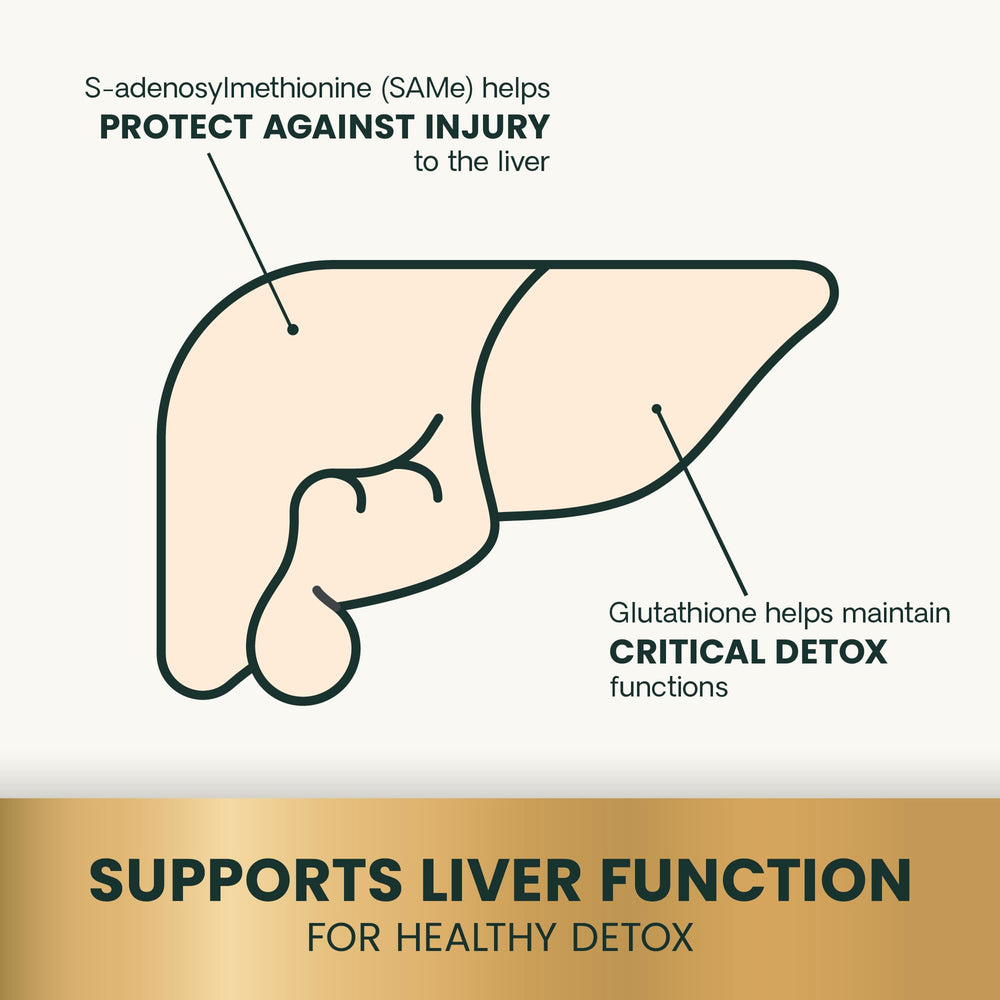 VetriScience SAMe Liver Health tablets dog-take view showcases convenience.