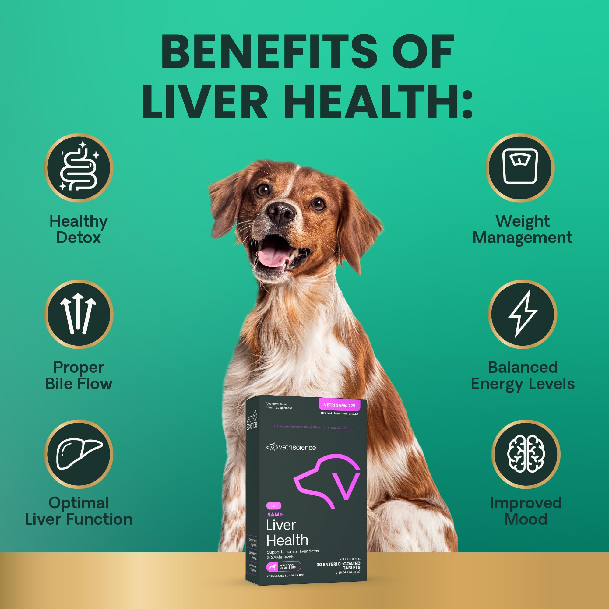 VetriScience SAMe Liver Health tablets served in treat demonstrates easy dosing.