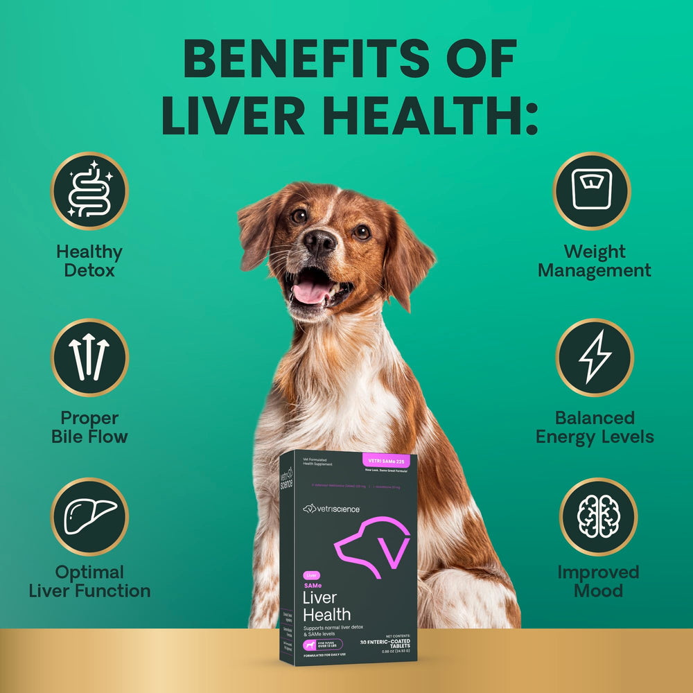 VetriScience SAMe Liver Health tablets served in treat demonstrates easy dosing.