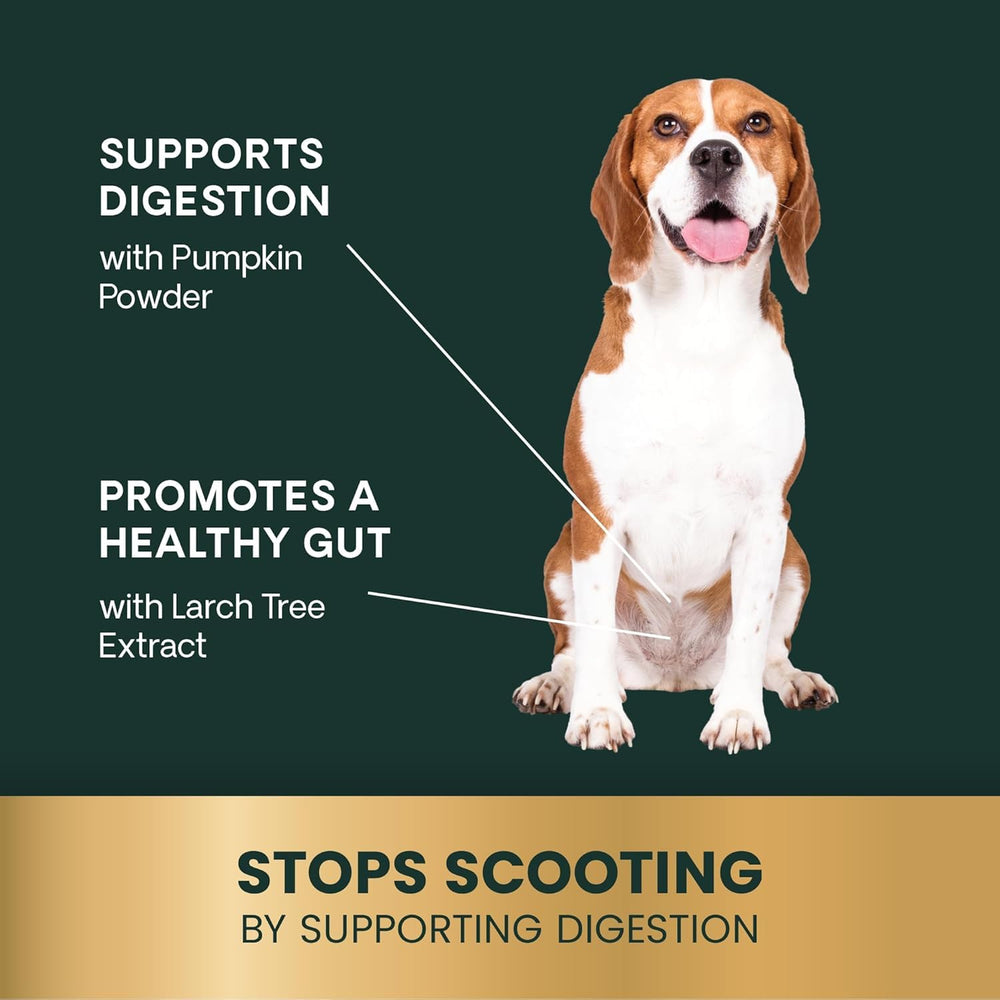 VetriScience Scoot Control ingredients pumpkin and larch for balanced gut health