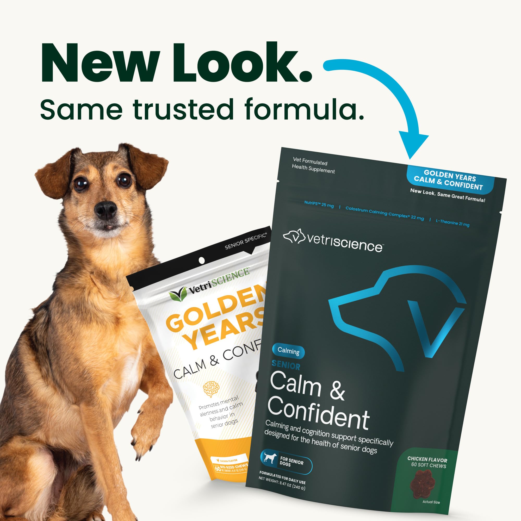 VetriScience Senior Calm & Confident bottle showcases easy daily supplementation for older dogs