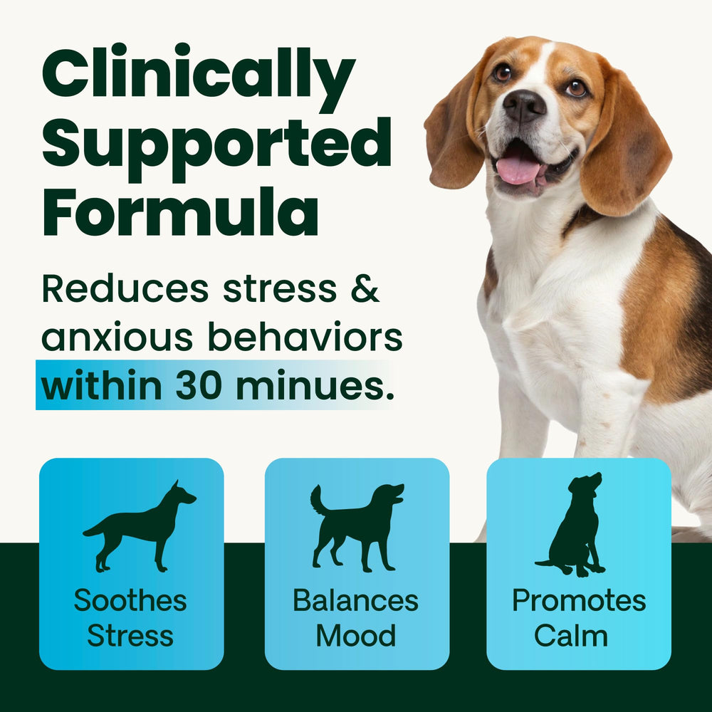 VetriScience chicken liver flavor chews provide a tasty, palatable option for canine enjoyment