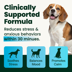 VetriScience chicken liver flavor chews provide a tasty, palatable option for canine enjoyment