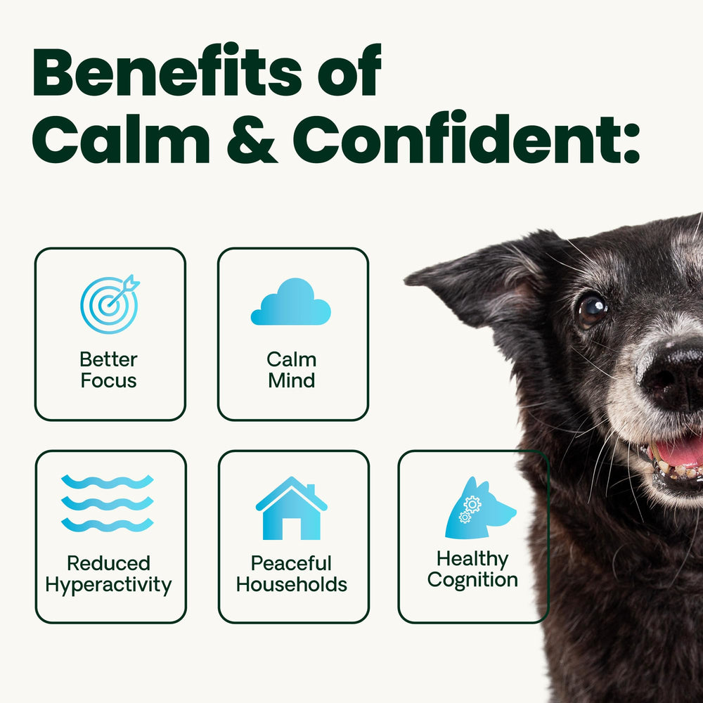 VetriScience dog with chews demonstrates simple, at-home calming support
