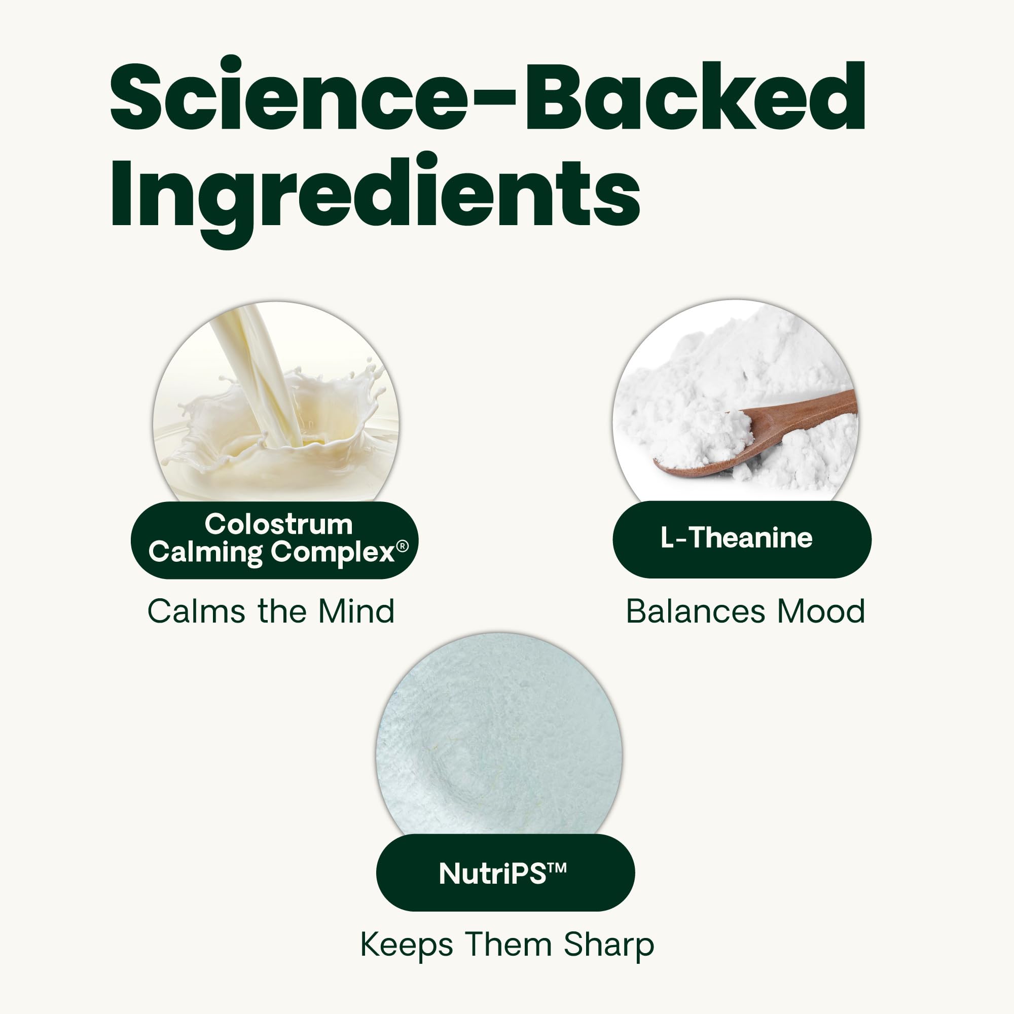 VetriScience soft-texture chews highlight easy bite size designed for senior dogs