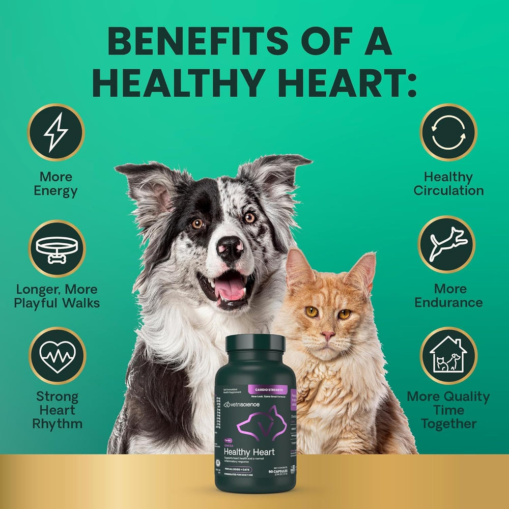 VetriScience Senior-pets heart support imagery suggests benefits for aging dogs and cats