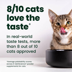 VETRISCIENCE cheese-flavored lysine powder pleases picky cats during supplementation.