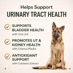 Label highlights cranberry, Uva Ursi, and Chanca Piedra as natural urinary support.