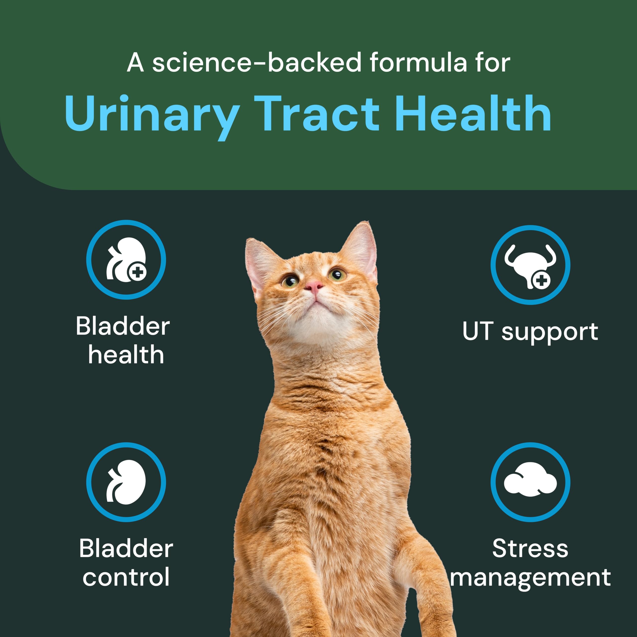 VETRISCIENCE UT Health chews calming blend close-up suggesting soothing use for cats
