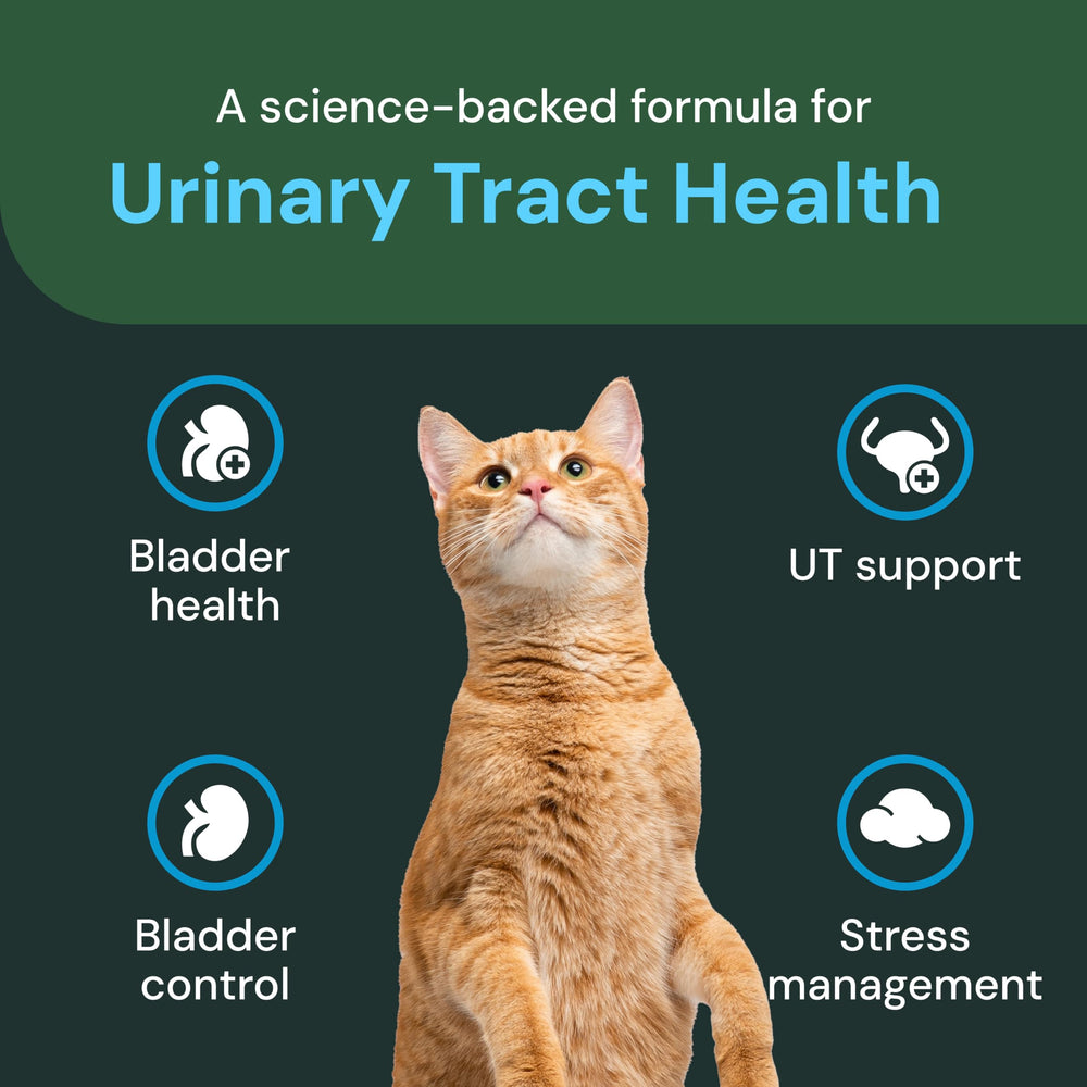 VETRISCIENCE UT Health chews calming blend close-up suggesting soothing use for cats