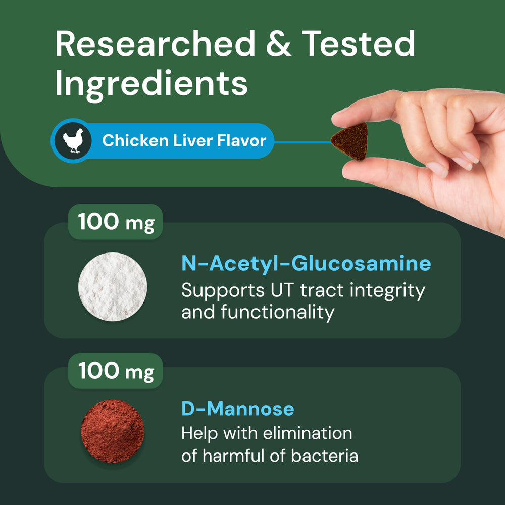 VETRISCIENCE UT Health chews daily-use 90-count bottle indicating long-term routine