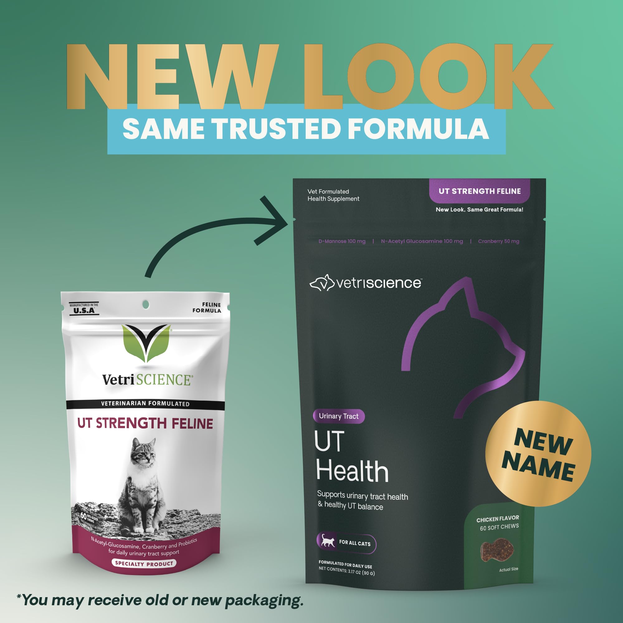 Close-up of VetriScience UT Health Chews in chicken flavor for urinary support.