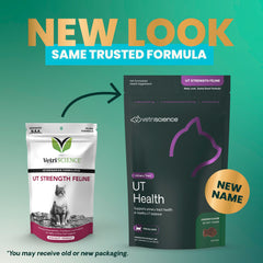 Close-up of VetriScience UT Health Chews in chicken flavor for urinary support.
