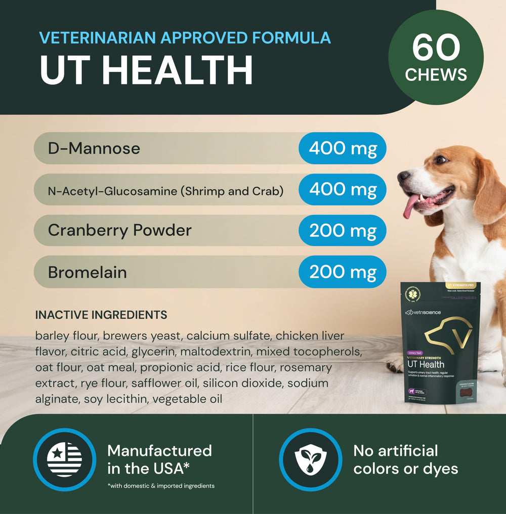 Close-up of cranberry powder ingredient in VetriScience UT Health Chews