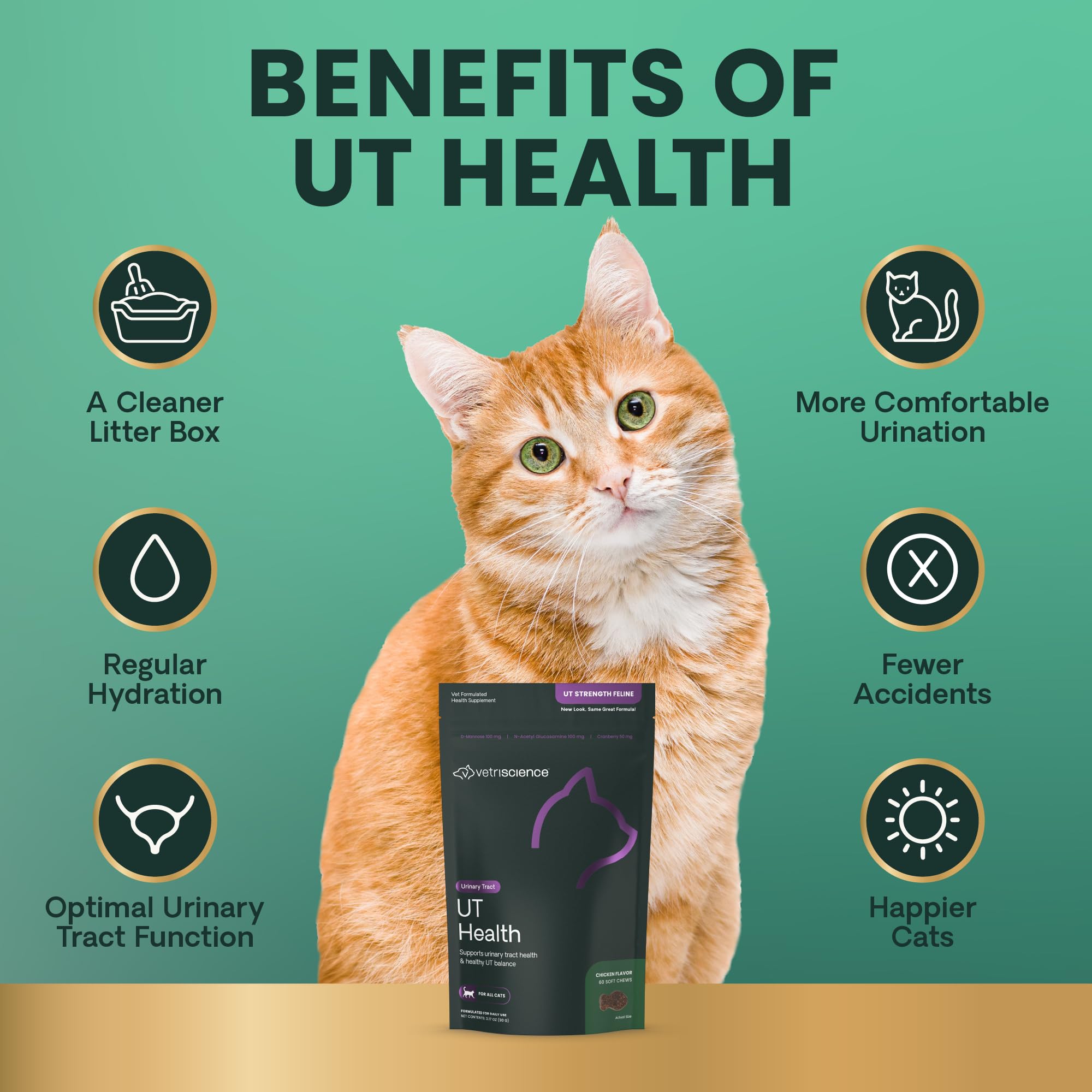 D-mannose icon highlighted on VetriScience UT Health Chews box.