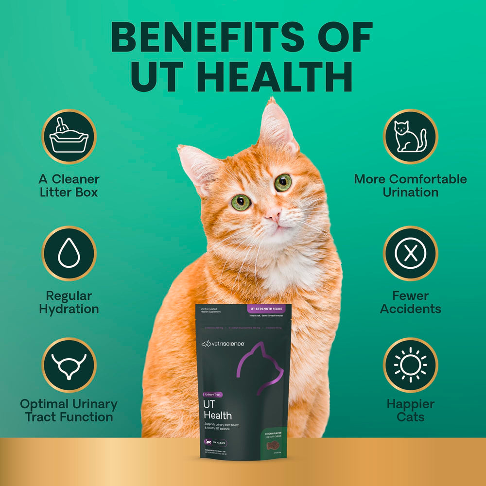 D-mannose icon highlighted on VetriScience UT Health Chews box.