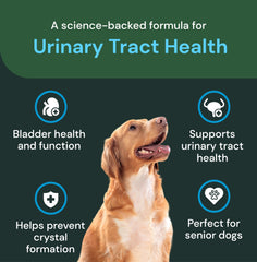 Label detail for GanedenBC30 in VetriScience UT Health Chews