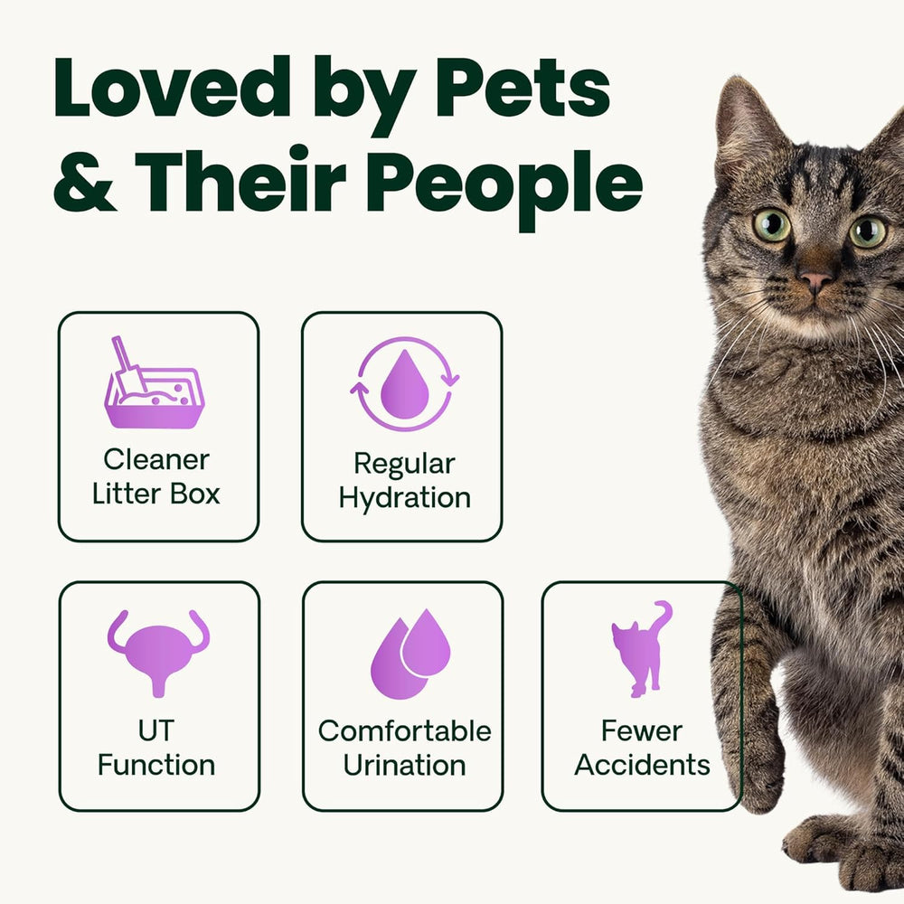Cat-friendly urinary health powder featuring six active ingredients in the formula.