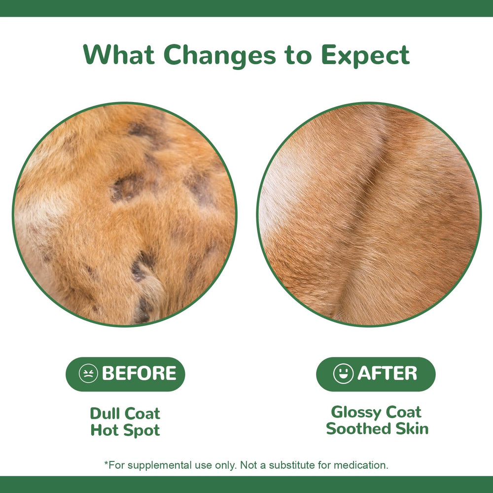 Vetriuntrix Dog Allergy Chews hot spots close-up indicates potential skin comfort.
