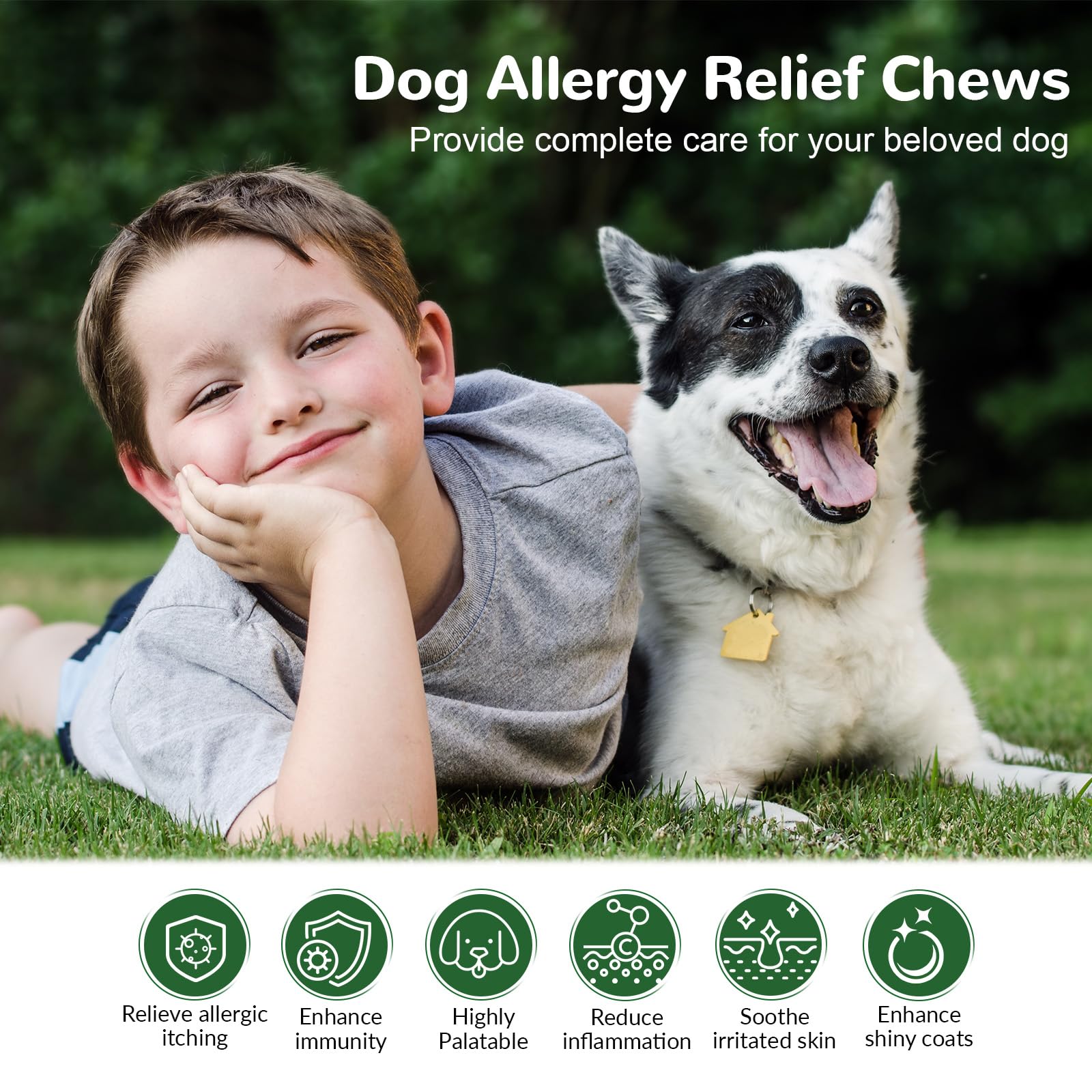 Vetriuntrix Dog Allergy Chews label close-up showing flavor and ingredients.