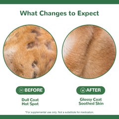 Vetriuntrix dog allergy chews natural grain-free formula for sensitive pets.