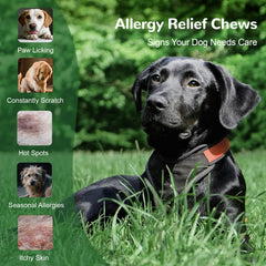 Vetriuntrix Dog Allergy Chews close-up on paws suggests soothing relief.
